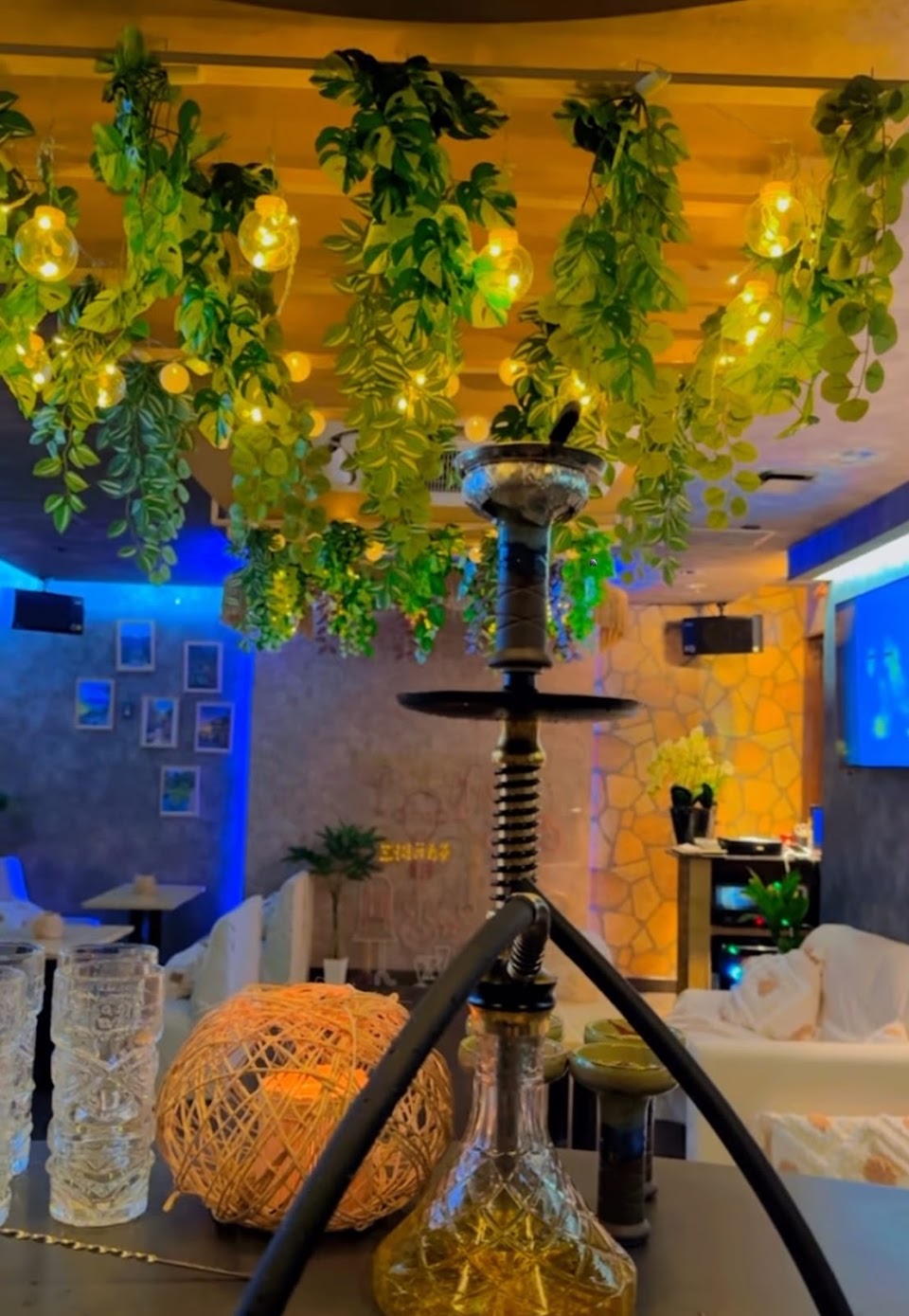 Garden shisha bar caféの写真 3枚目