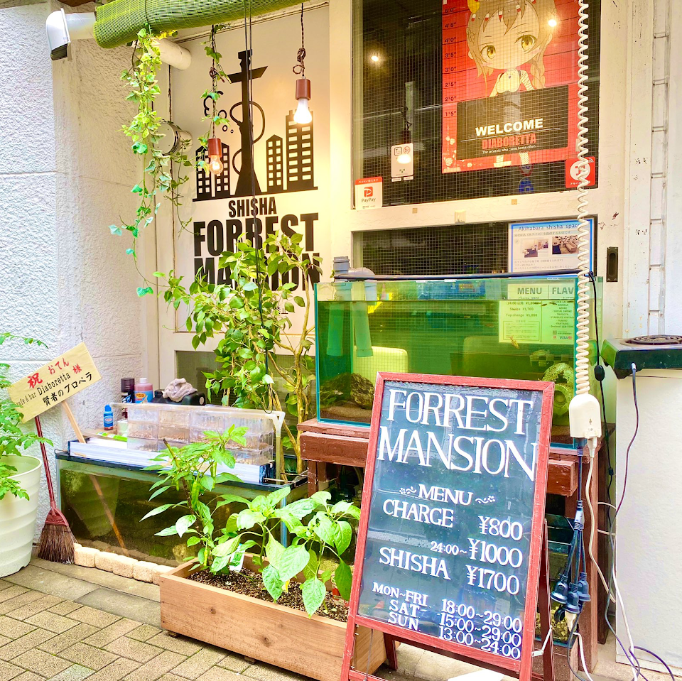 秋葉原のシーシャカフェFORREST MANSION