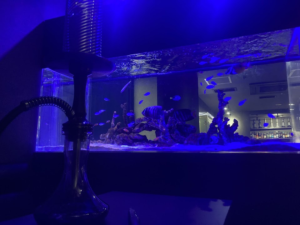 シーシャカフェ＆バー＆アクアリウム Ripples/リプルズ 札幌店