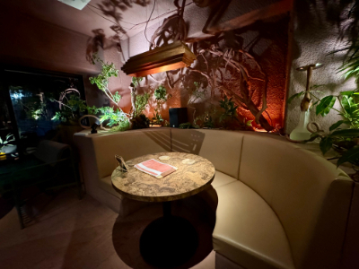 Shisha cafe＆bar CA6DEN（カルデン）六本木店の写真 3枚目