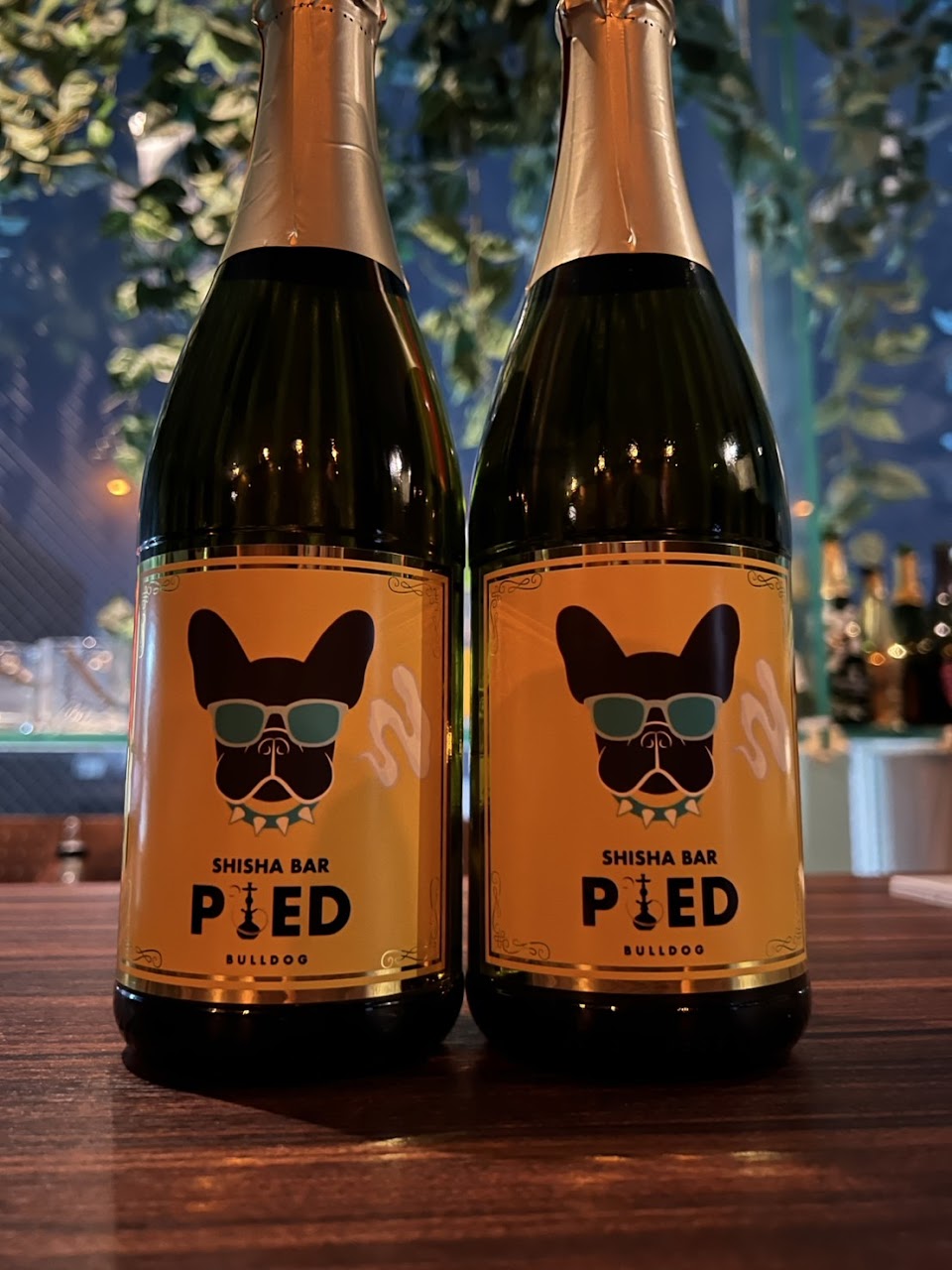 Shisha Bar PIED｜シーシャバーパイド｜天神大名の写真 2枚目