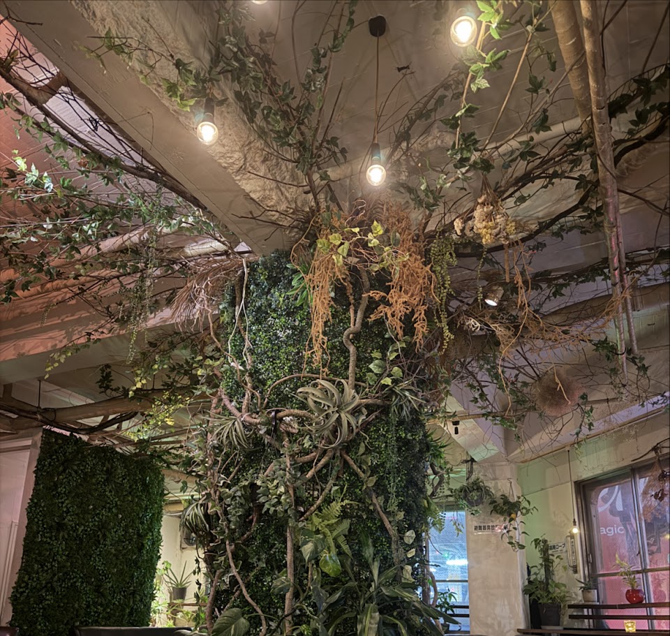 night cafe & shisha lounge moc TENMONKAN（鹿児島 天文館 夜カフェ シーシャ 深夜カフェ）の写真 3枚目