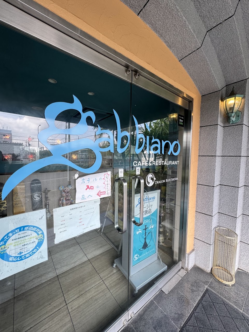 gabbiano